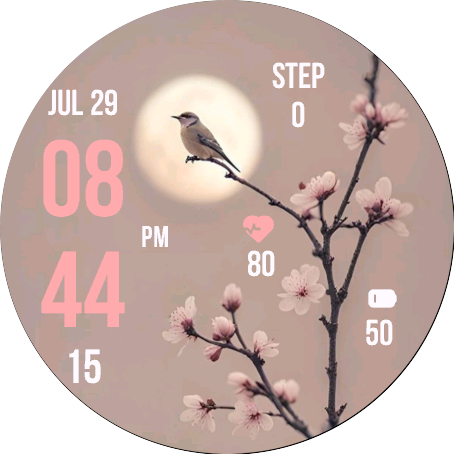 Nature Bird