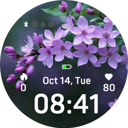 Lilac Flowers