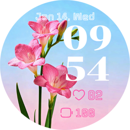 Pink Freesia