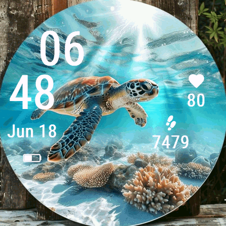 Turtle Lagoon